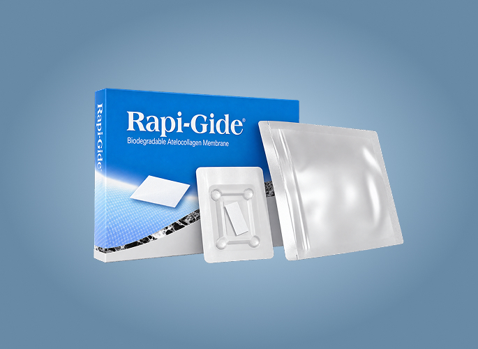 RAPI GUIDE01