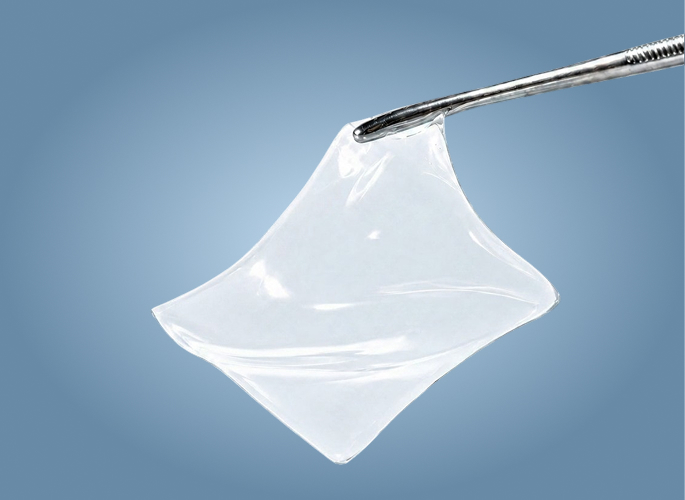 productoChileproductosChile56.jpg